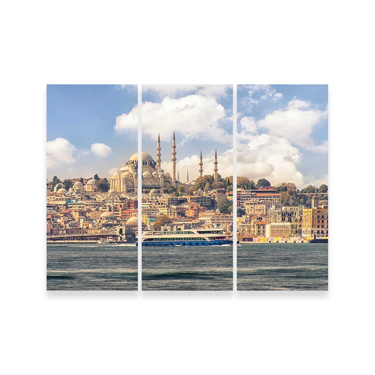 Exquisite Istanbul Wall Art by Manjik Pictures