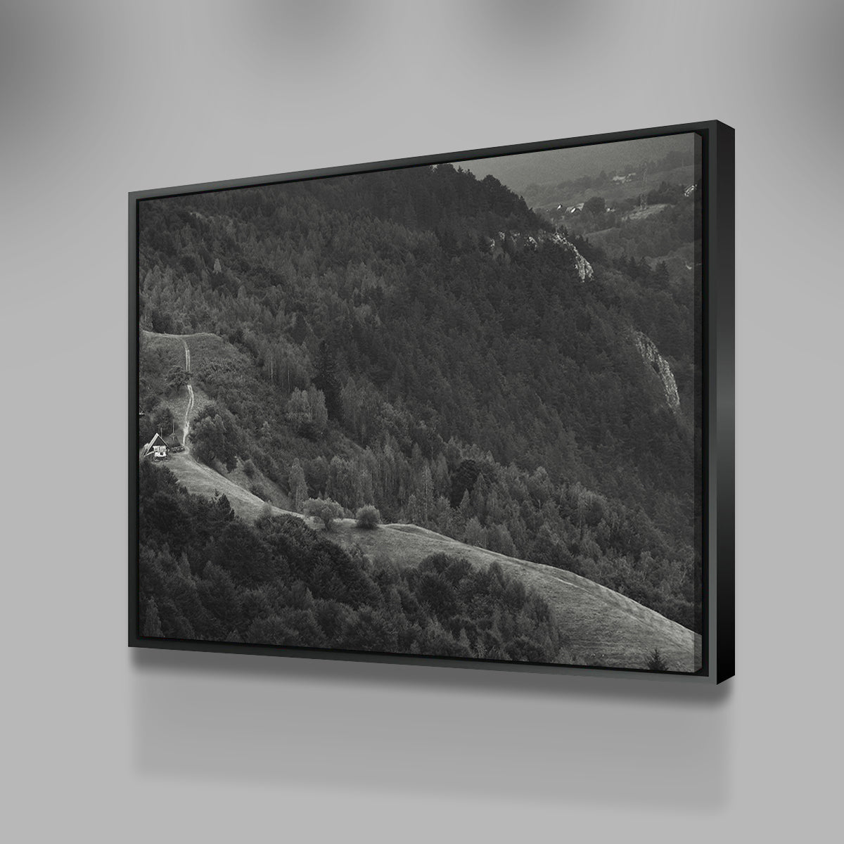 Exquisite Romania Hill Wall Art by George Sorin