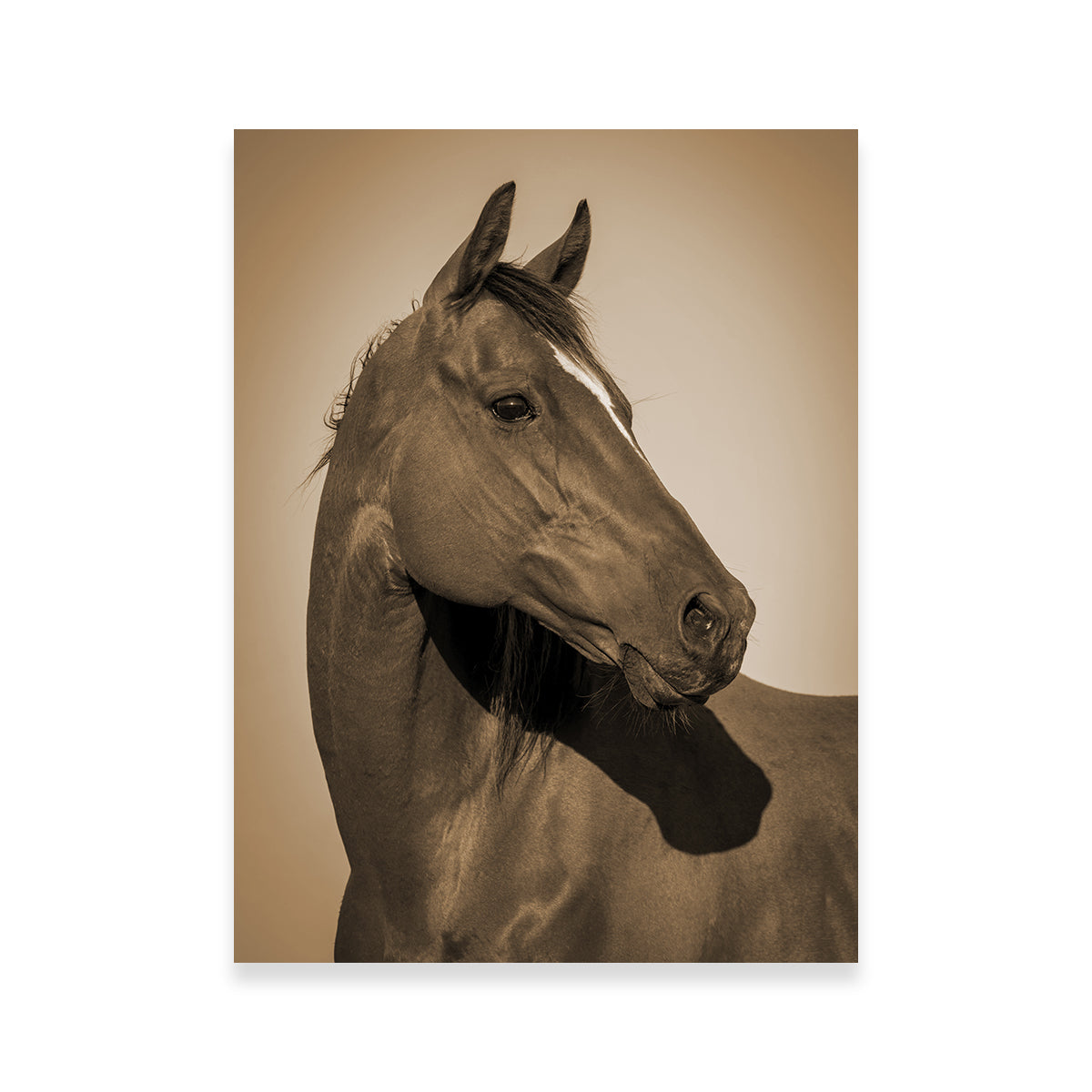 Stunning Quarter Horse Wall Art for Your Home Decor