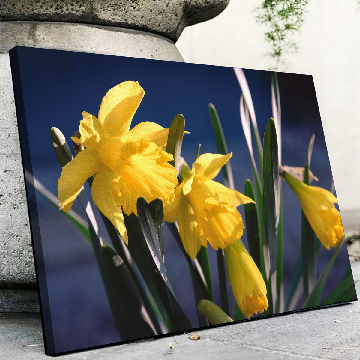 Gorgeous Spring Bloom Wall Art by Shaun Mayer