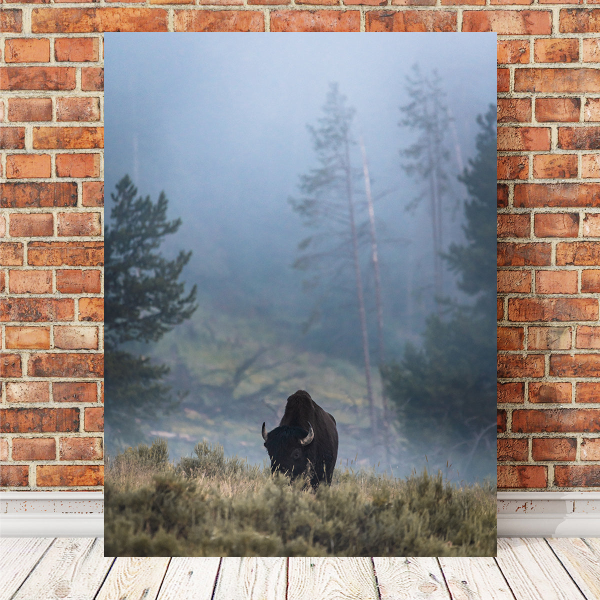 Stunning Lone Buffalo Wall Art by Lucas Moore