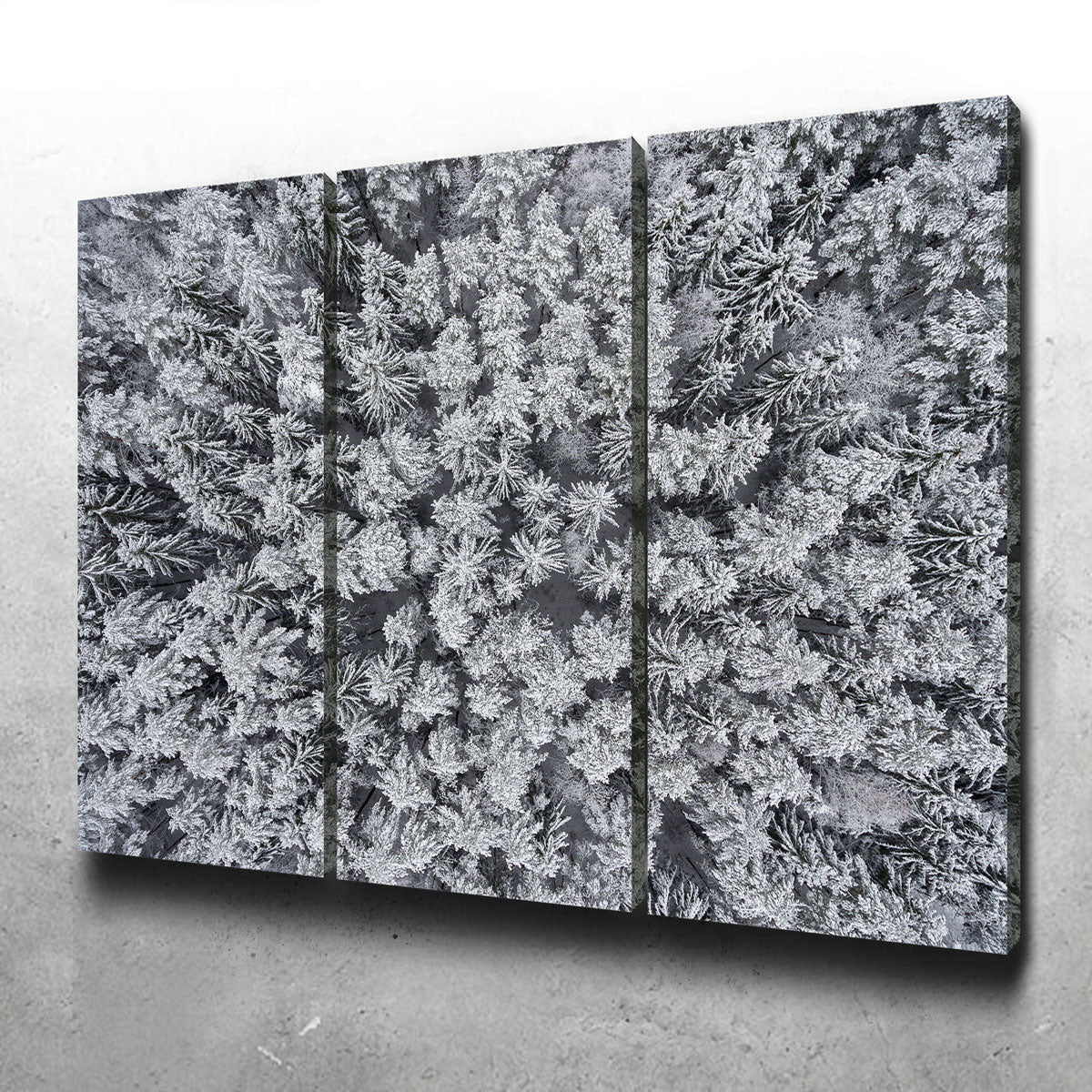 Exquisite Frosted Tips Wall Art by Karolis Janulis