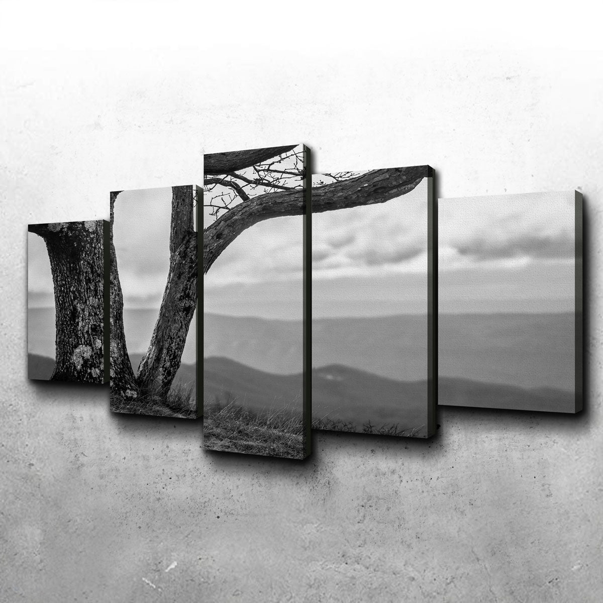 Stunning Desolate Limbs Wall Art by Dennis Maida