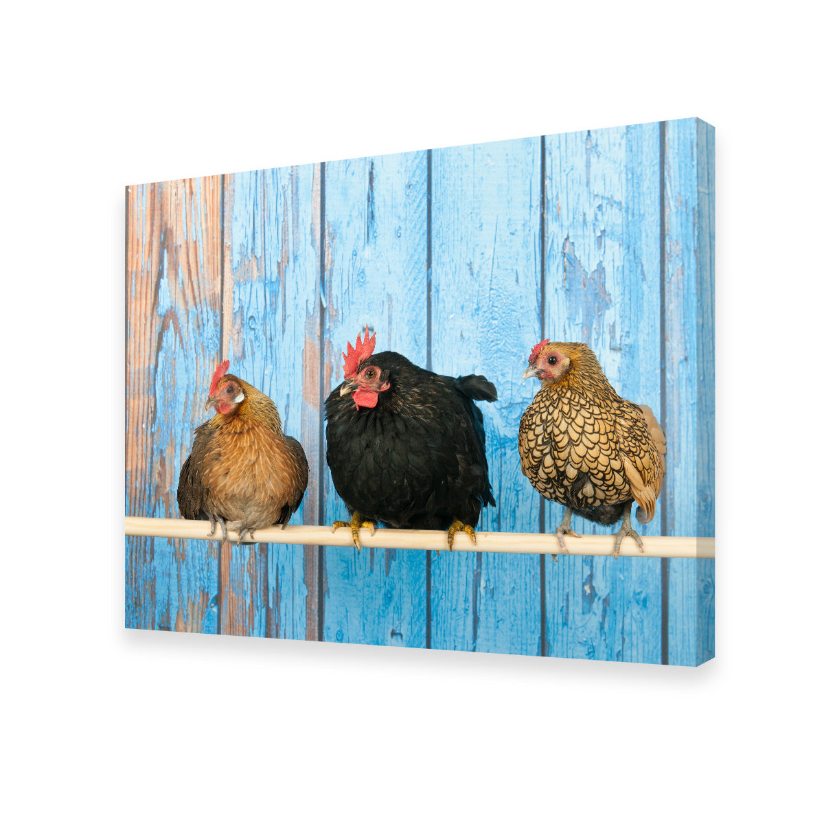 Exquisite Chickens in Henhouse Wall Art for Home Decor