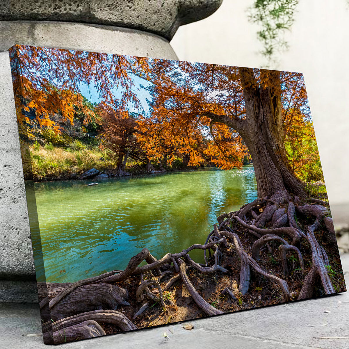 Stunning Guadalupe State Park Wall Art - Museum Quality Canvas