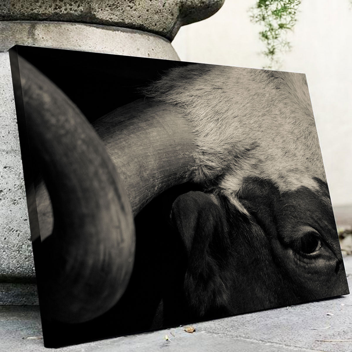 Stunning Texas Longhorn Cow Wall Art for Your Home Decor