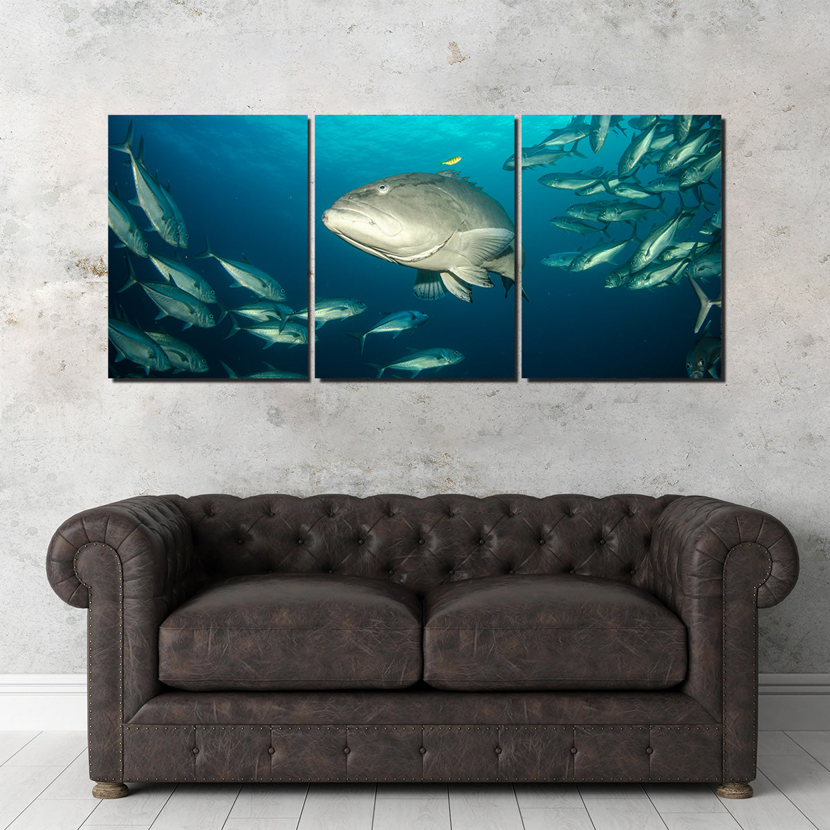 Exquisite Sea of Cortez Grouper Wall Art