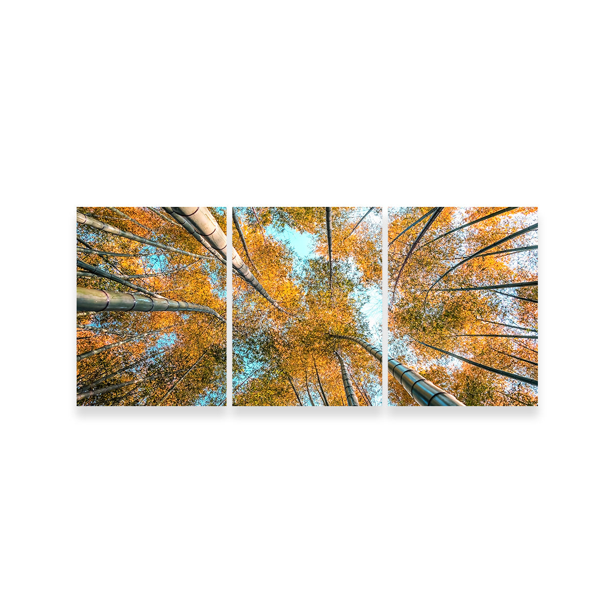 Stunning Into The Grove Wall Art for Your Home Decor