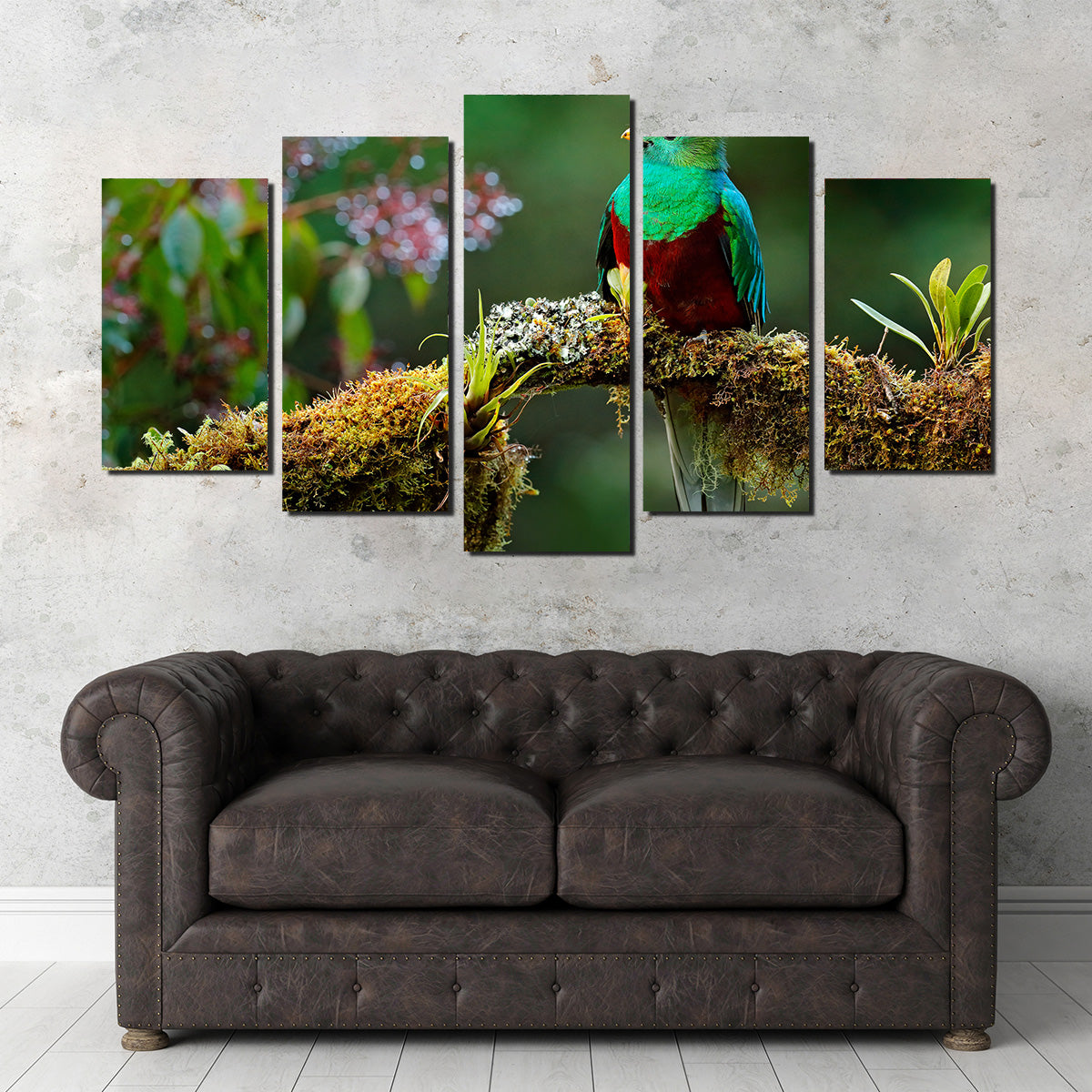 Stunning Resplendent Quetzal Wall Art for a Captivating Home Decor