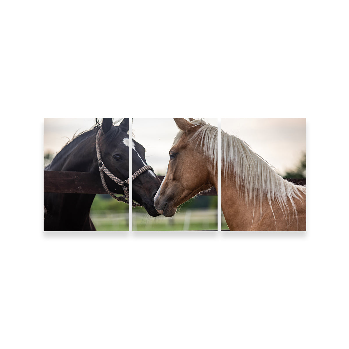 Exquisite Quarter Horses Wall Art for Stunning Decor