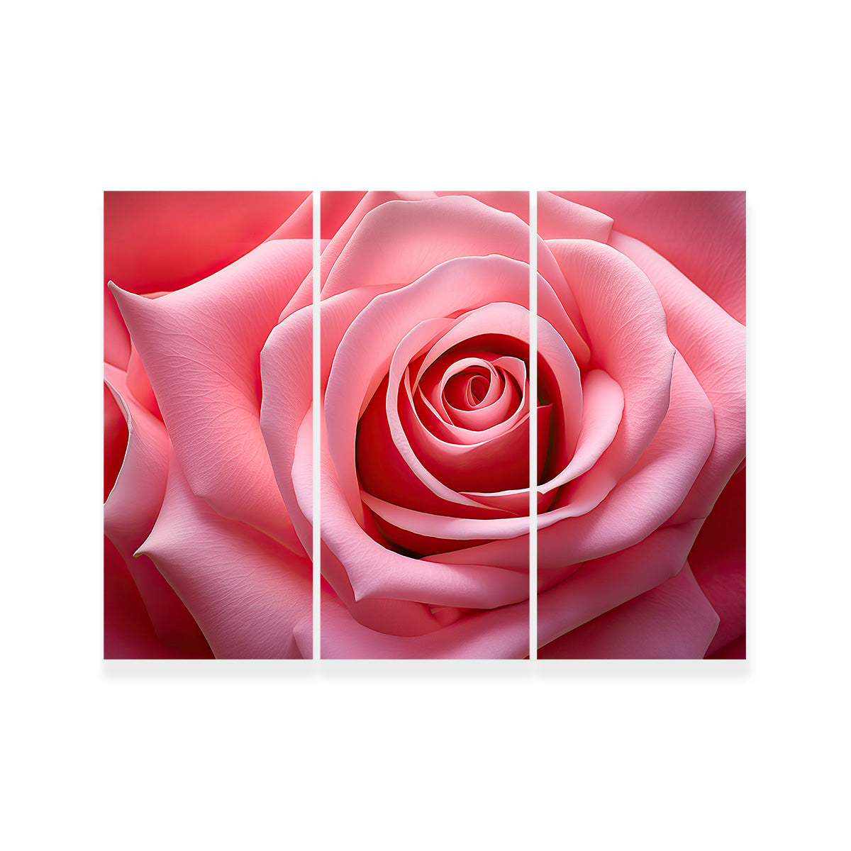 Stunning Light Pink Rose Art Print