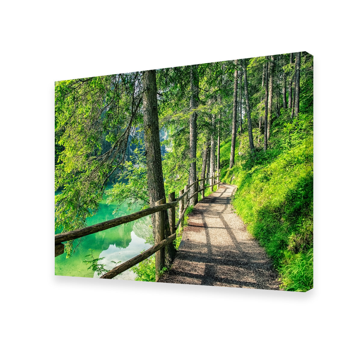 Stunning Path By The Lake Wall Art for Your Home Decor