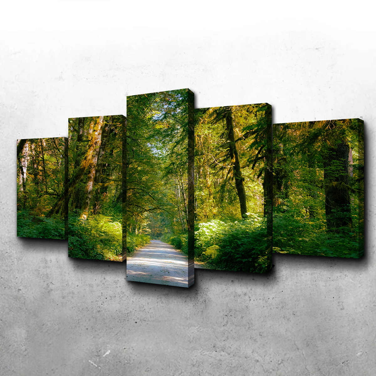Exquisite Rainforest Road Wall Art by Kyle Sherry