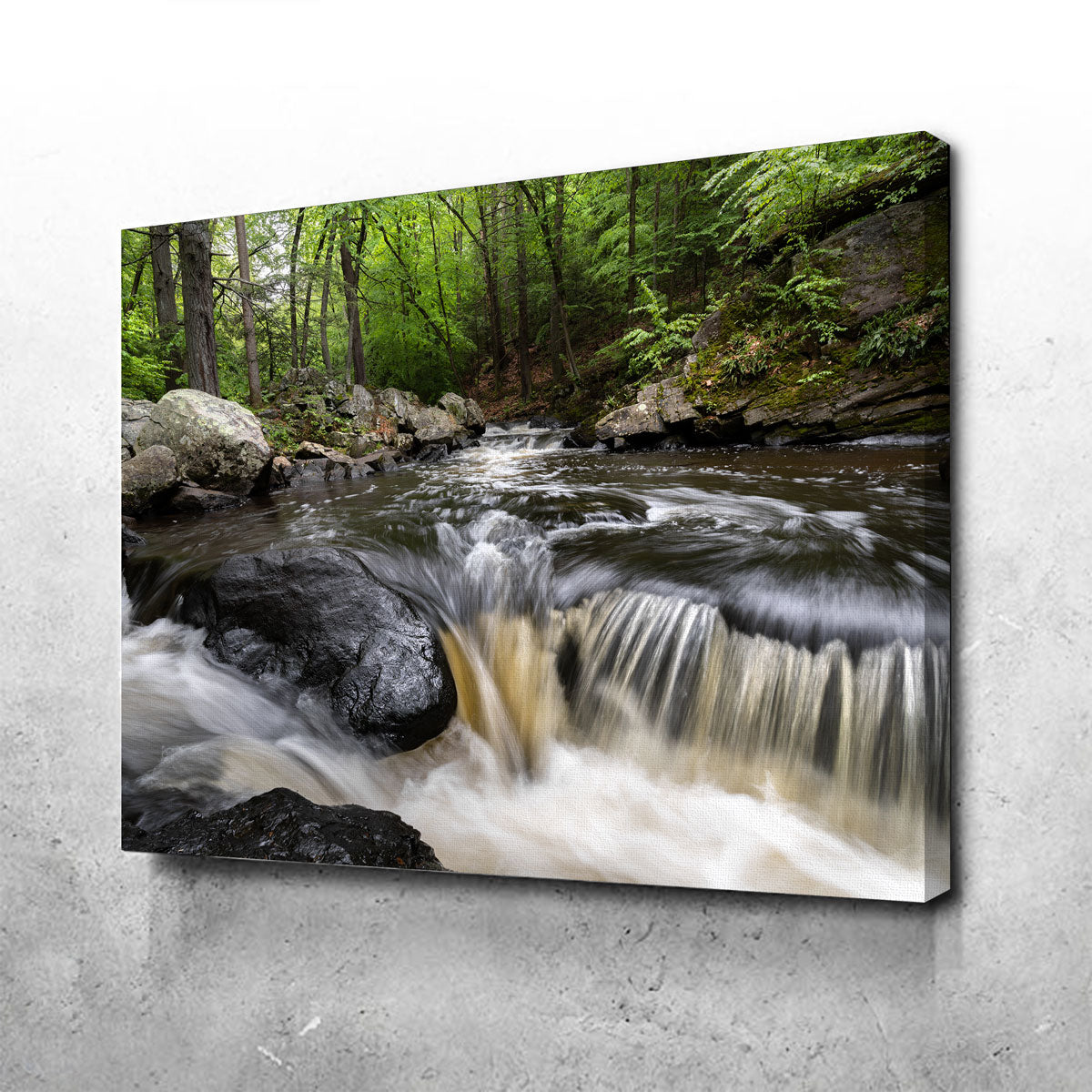 Stunning Summer Black River Wall Art for Home Decor