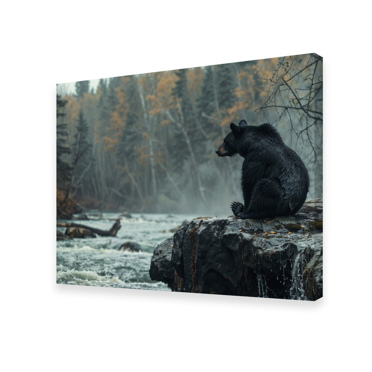 Stunning Black Bear River Wall Art for Home Decor