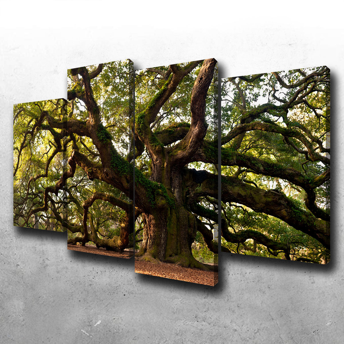 Exquisite Charleston Angel Oak Wall Art for Stunning Home Decor