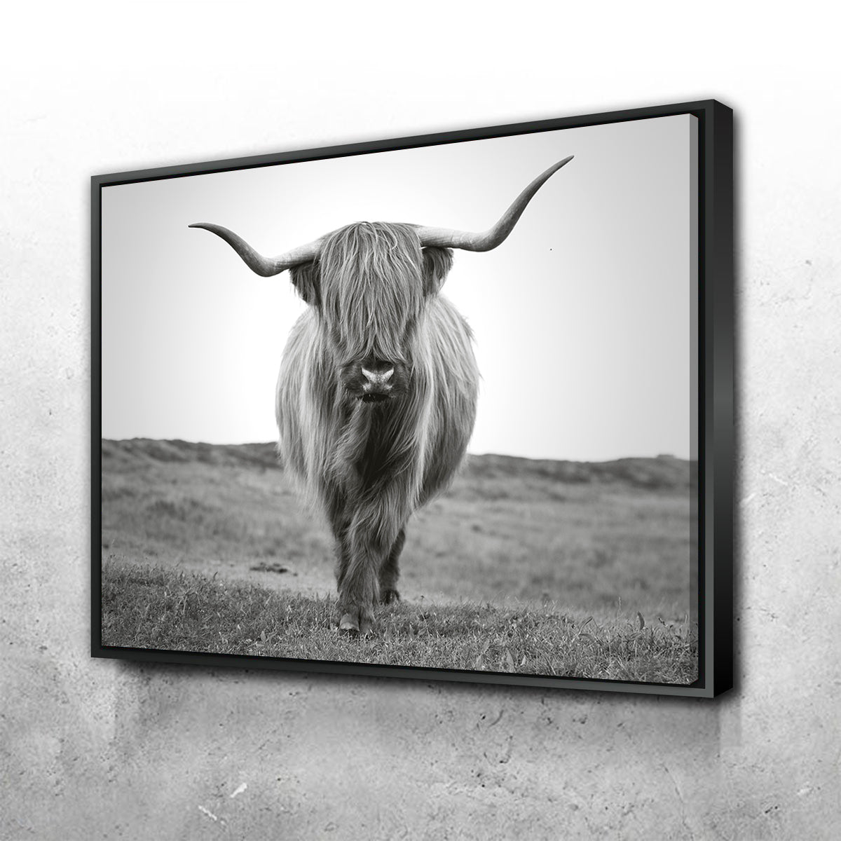 Gorgeous Scottish Bull Wall Art - Ideal for Home Decor