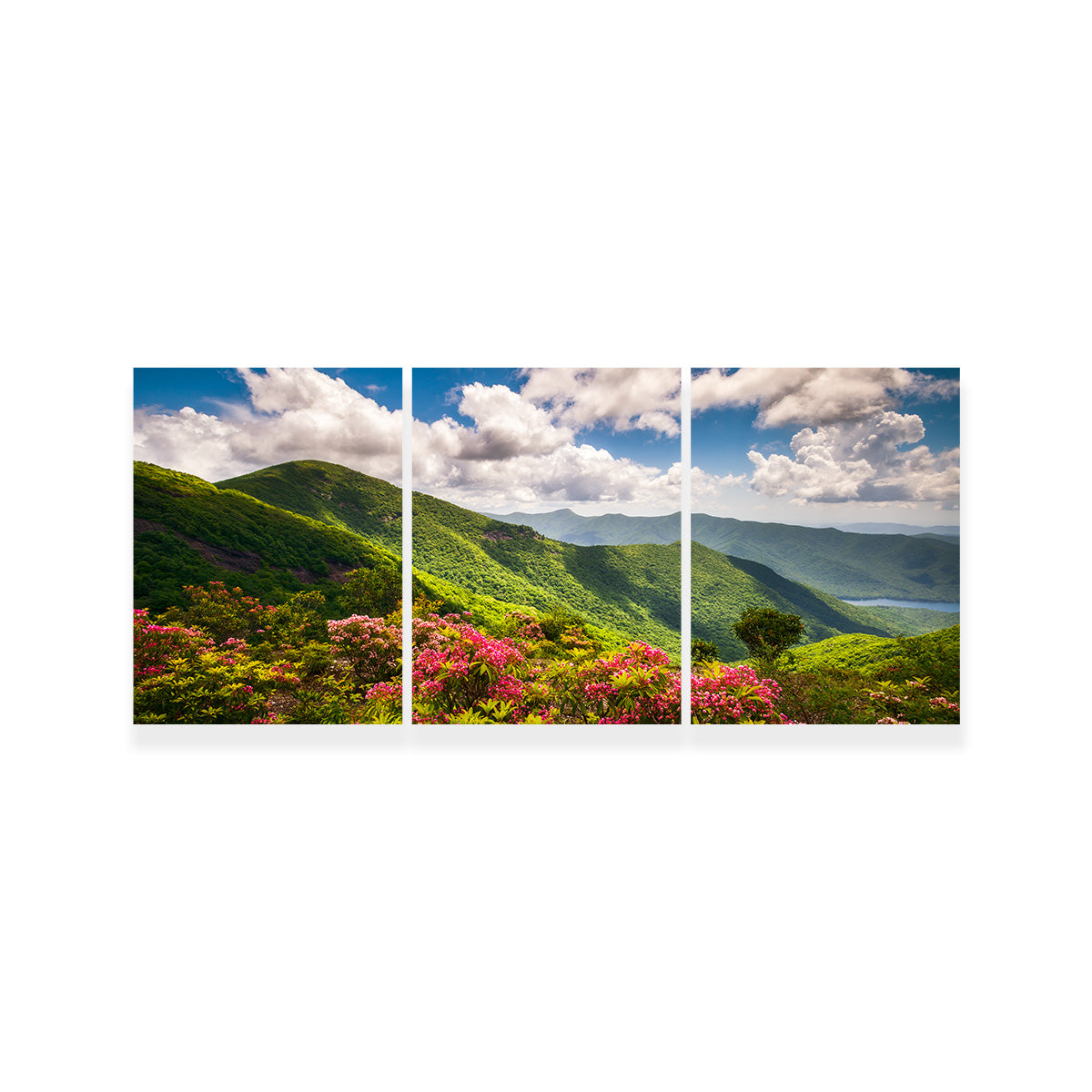 Stunning Blue Ridge Parkway Wall Art for Your Home Decor