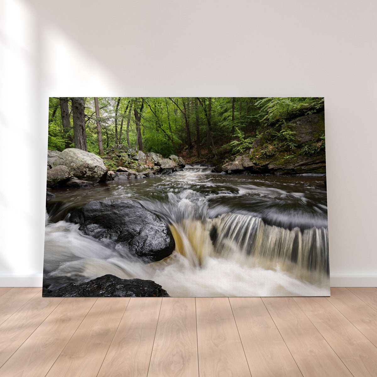 Stunning Summer Black River Wall Art for Home Decor