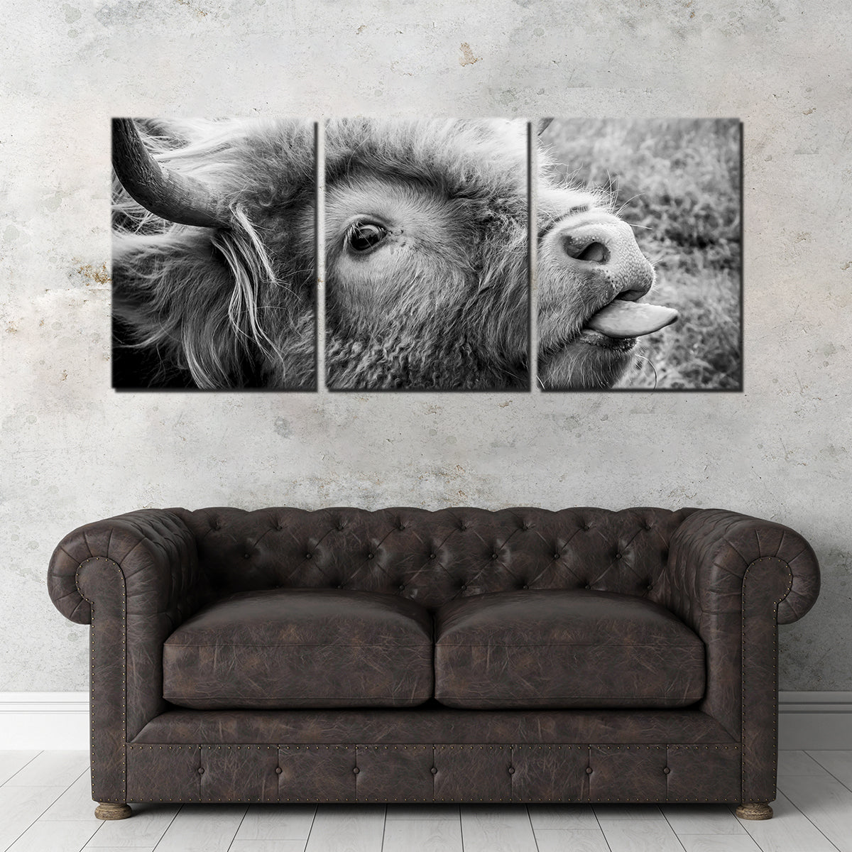 Hilarious Cow Wall Art for Home Decor