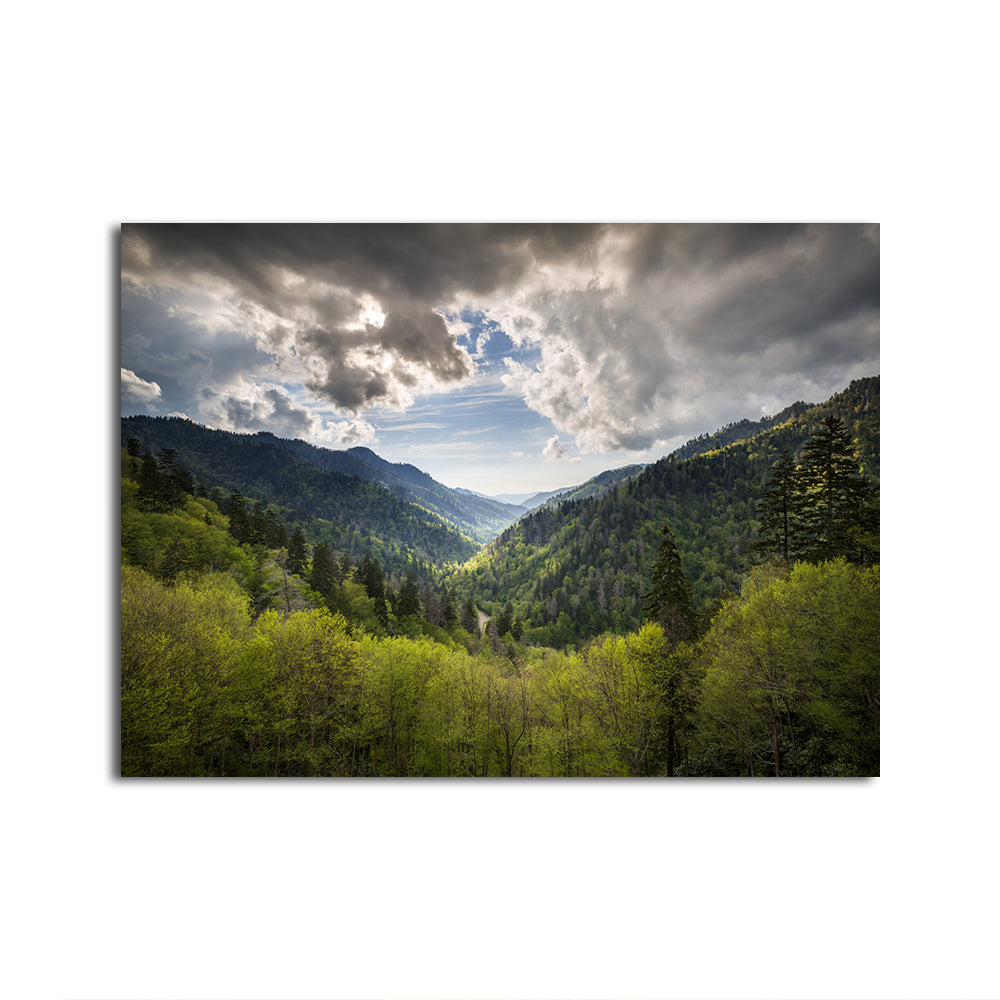 Stunning Great Smoky Mountains National Park Wall Art for Your Home Decor