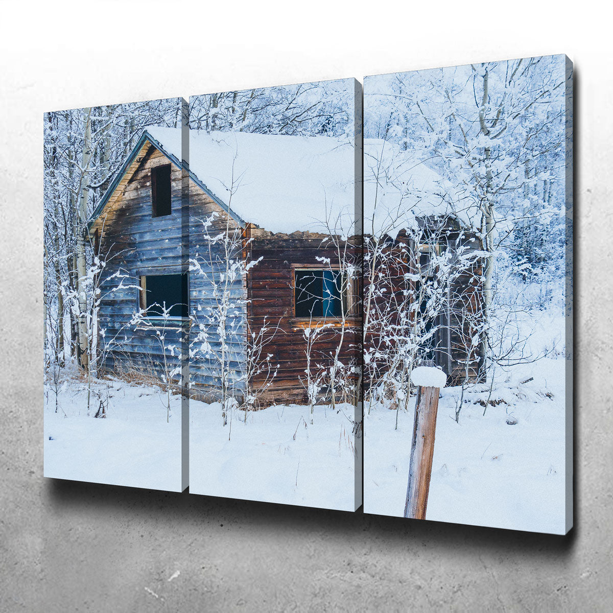 Stunning Abandoned Cabin Wall Art by Mike Cotton