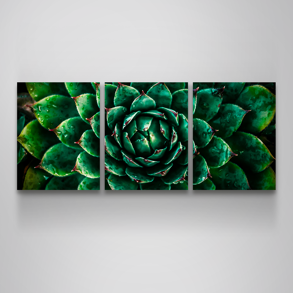 Stunning Green Wall Art by Manuel Luces