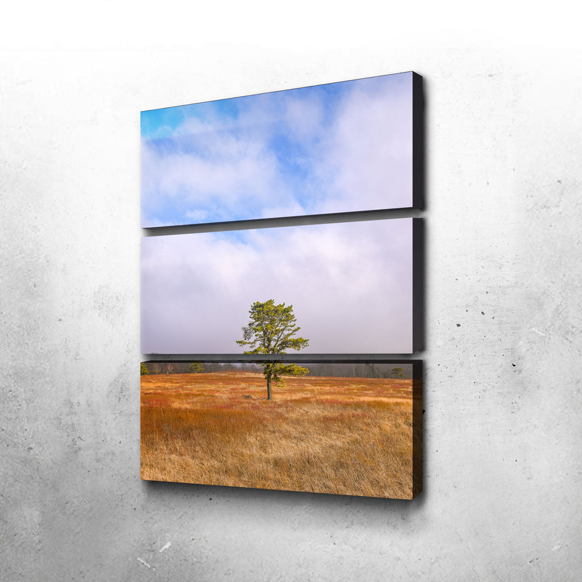 Enchanting Distant Fog Wall Art by Dennis Maida