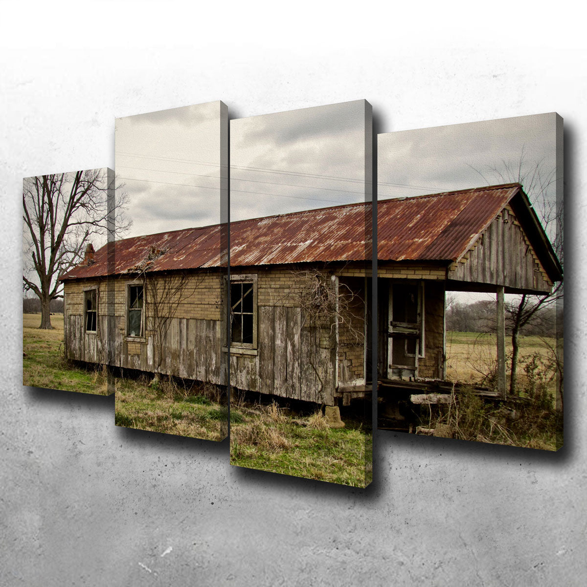 Louisiana Abandoned Cabin Wall Art by David Campbell - Museum Quality Canvas