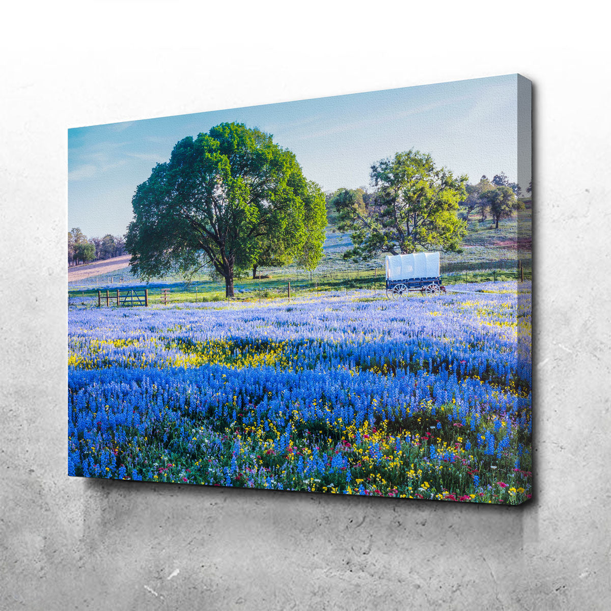 Gorgeous Texas Hill Country in Spring Wall Art for Stunning Home Decor