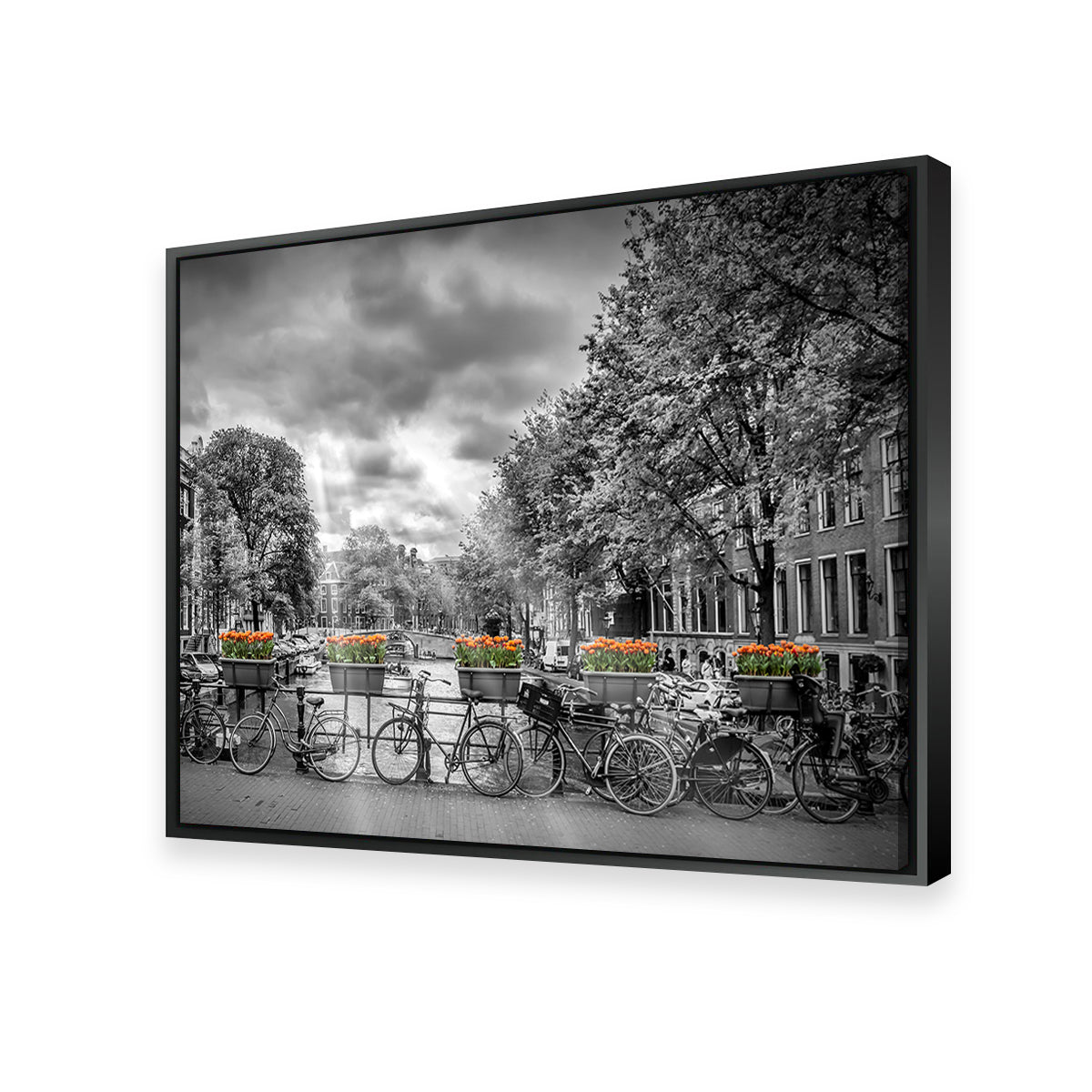 Exquisite Amsterdam Wall Art by Melanie Viola