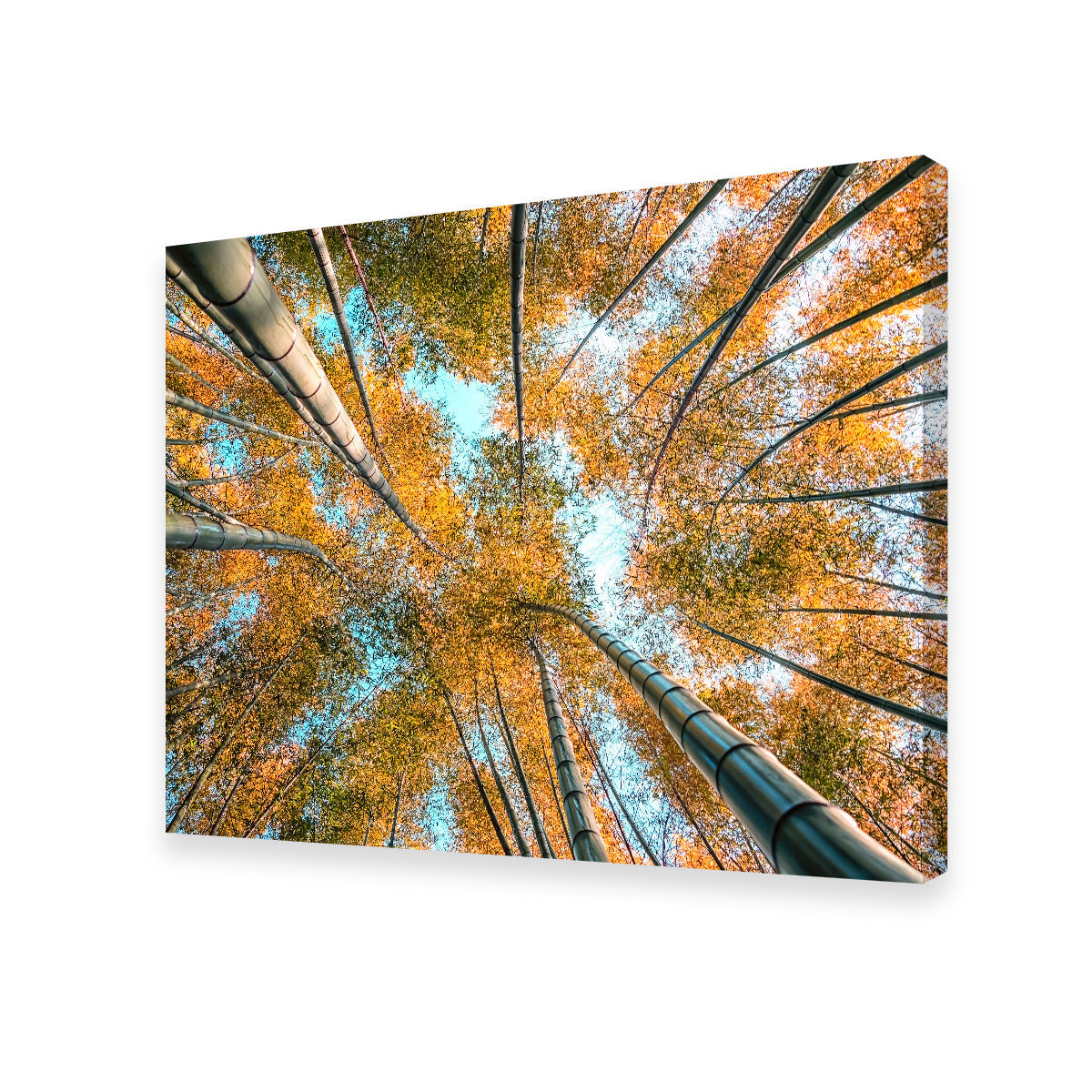 Stunning Into The Grove Wall Art for Your Home Decor