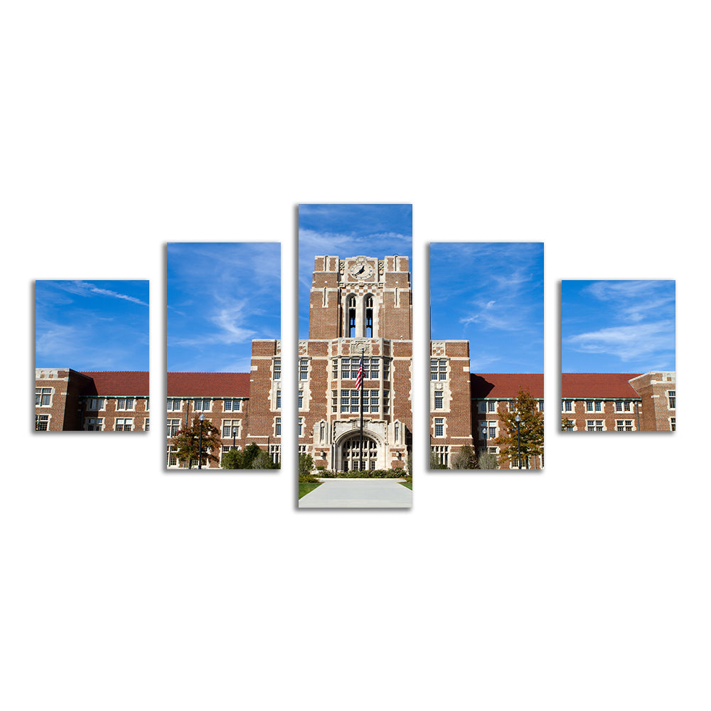 Stunning University of Tennessee Hill Wall Art - Ideal Decor for College Fans