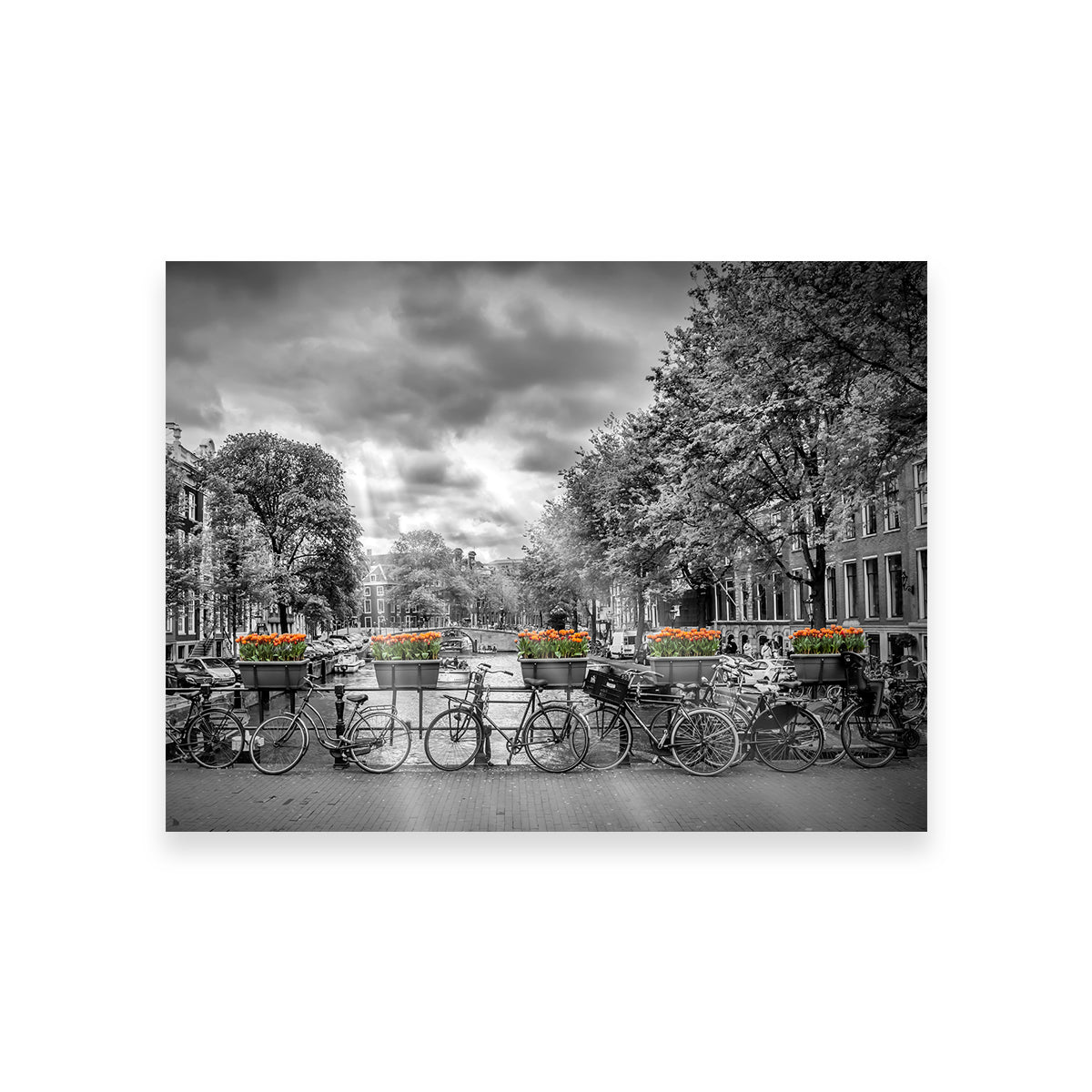 Exquisite Amsterdam Wall Art by Melanie Viola