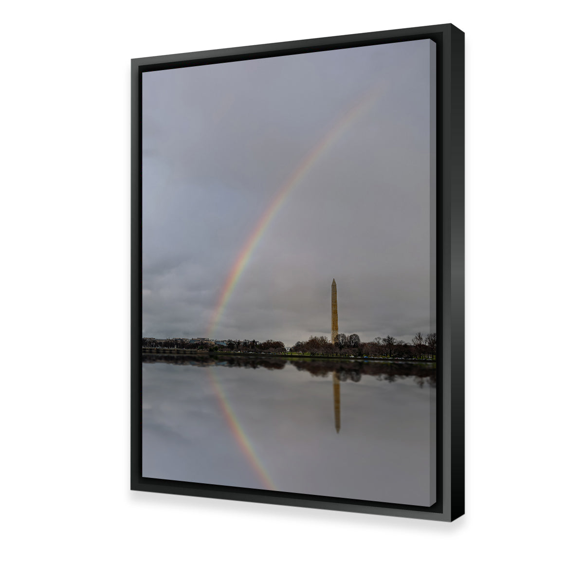 Stunning DC Rainbow Wall Art by Dennis Maida