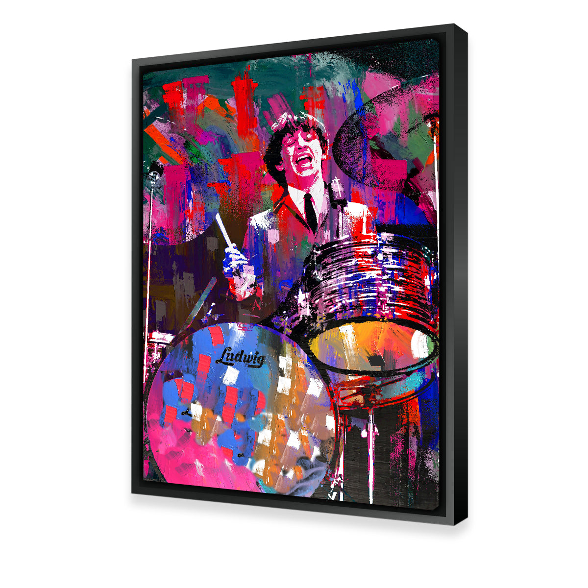 Stunning Ringo Wall Art by Stephen Chambers