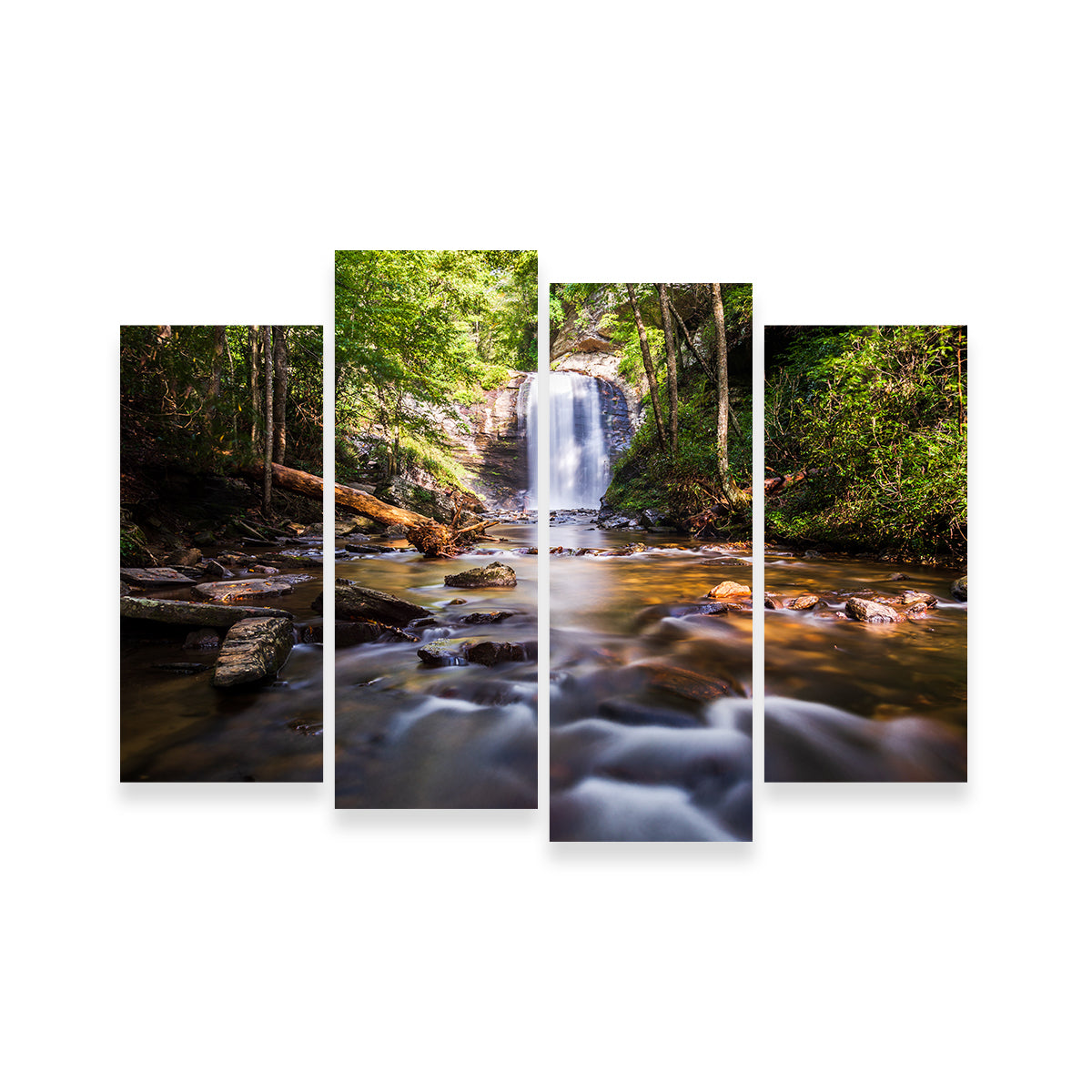 Looking Glass Falls, North Carolina Stunning Wall Art by Barry Pack