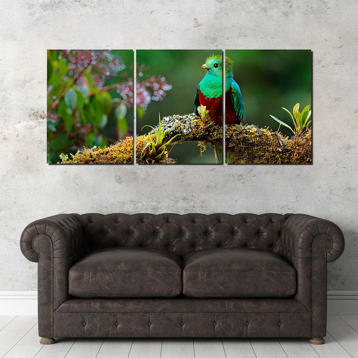 Stunning Resplendent Quetzal Wall Art for a Captivating Home Decor