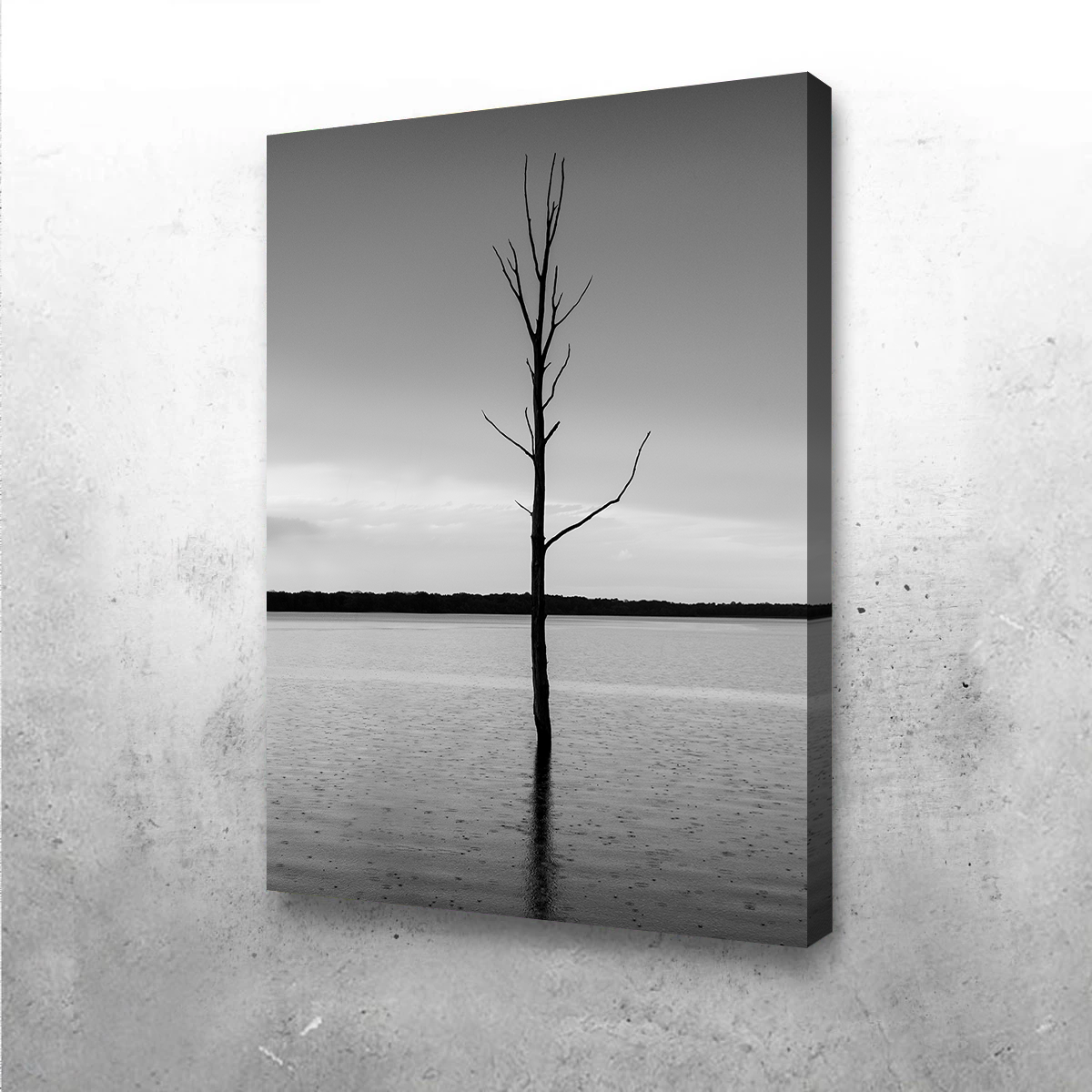 Stunning Isolated Droplets Wall Art by Dennis Maida