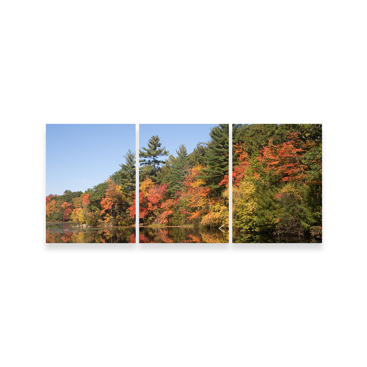 Stunning Harold Parker State Park Wall Art for Home Decor