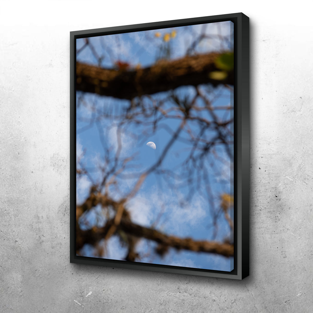 Exquisite Quarter Moon Among the Tree Wall Art by Sofia Leite Fonseca