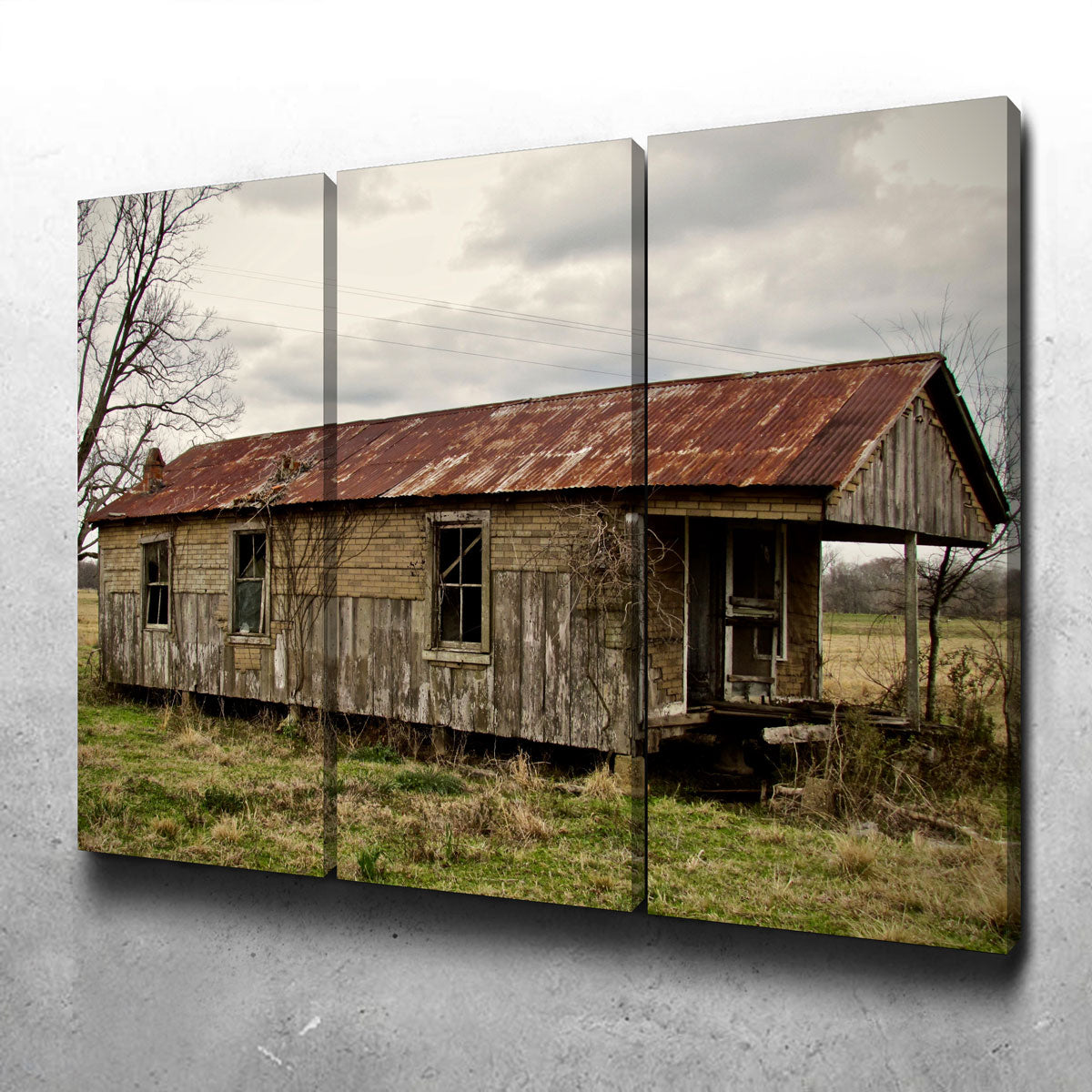 Louisiana Abandoned Cabin Wall Art by David Campbell - Museum Quality Canvas