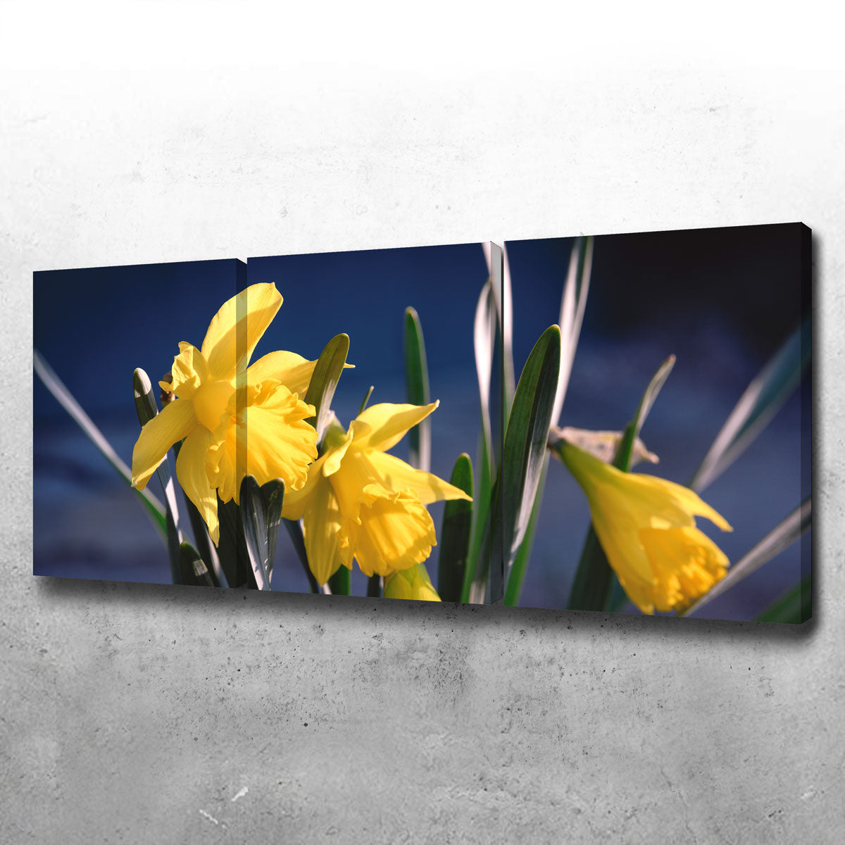 Gorgeous Spring Bloom Wall Art by Shaun Mayer