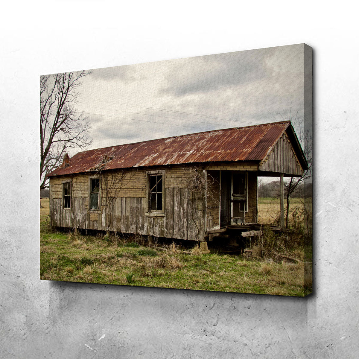 Louisiana Abandoned Cabin Wall Art by David Campbell - Museum Quality Canvas