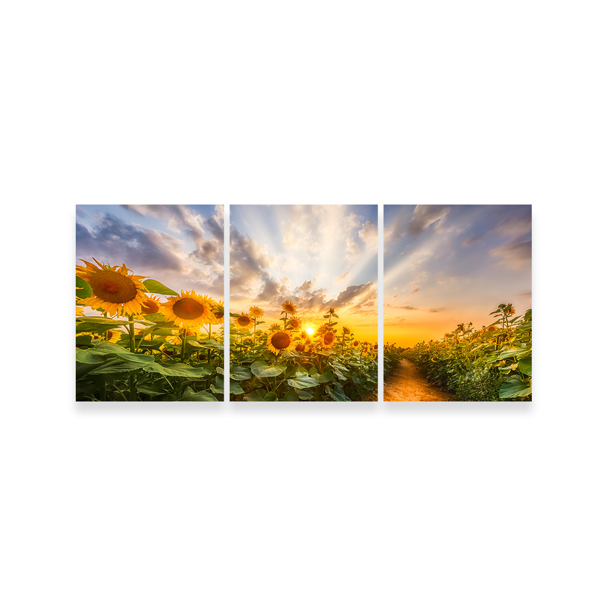 Gorgeous Path Through the Sunflower Field Wall Art by Melanie Viola