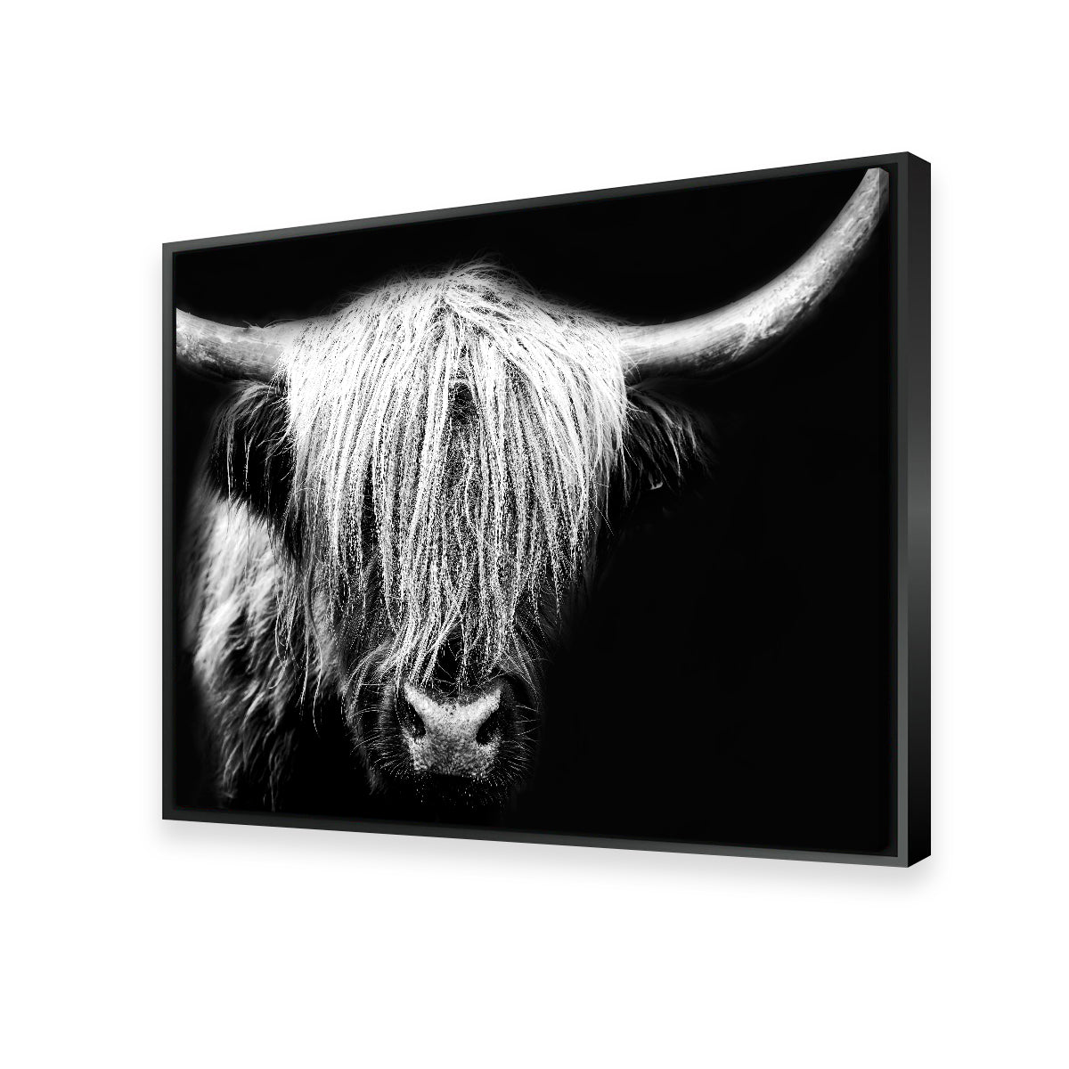 Stunning Grayscale Highland Cow Wall Art for Your Home Decor