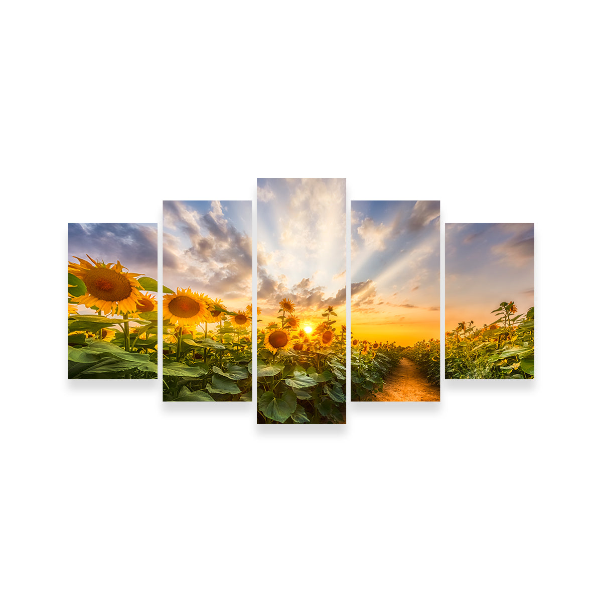 Gorgeous Path Through the Sunflower Field Wall Art by Melanie Viola