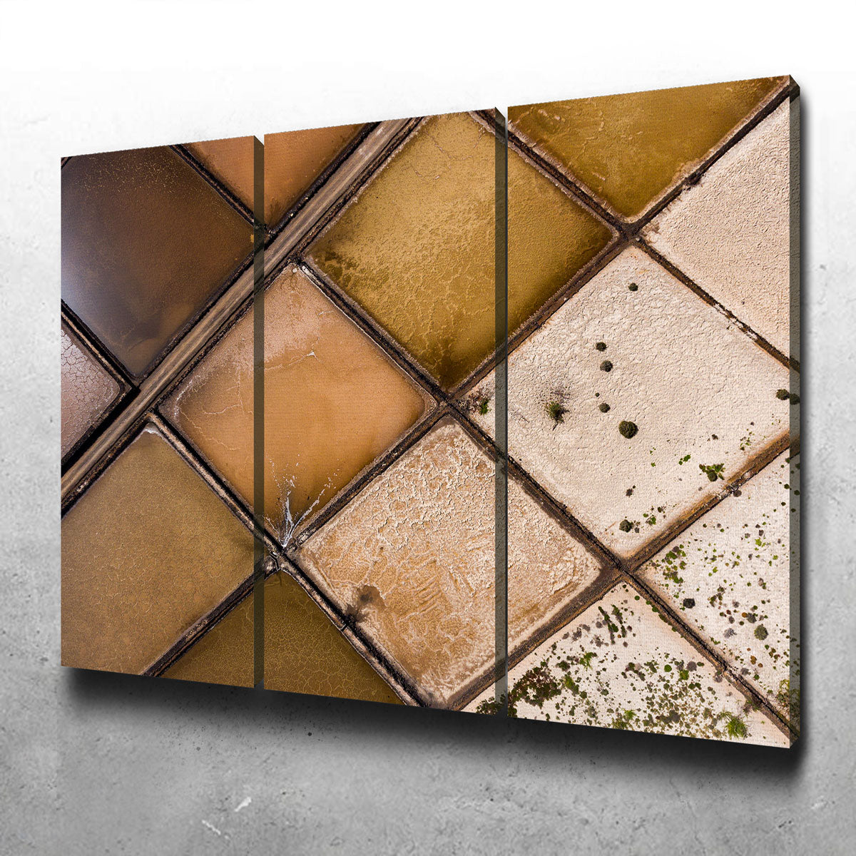 Enchanting Desolate Fields Wall Art by Karolis Janulis