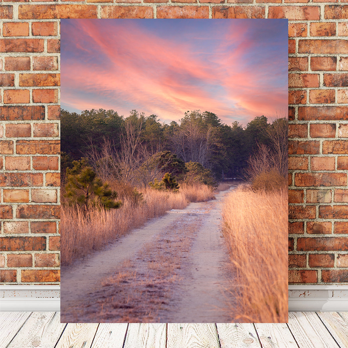 Exquisite Path to the Cranberries Wall Art by Shaun Mayer