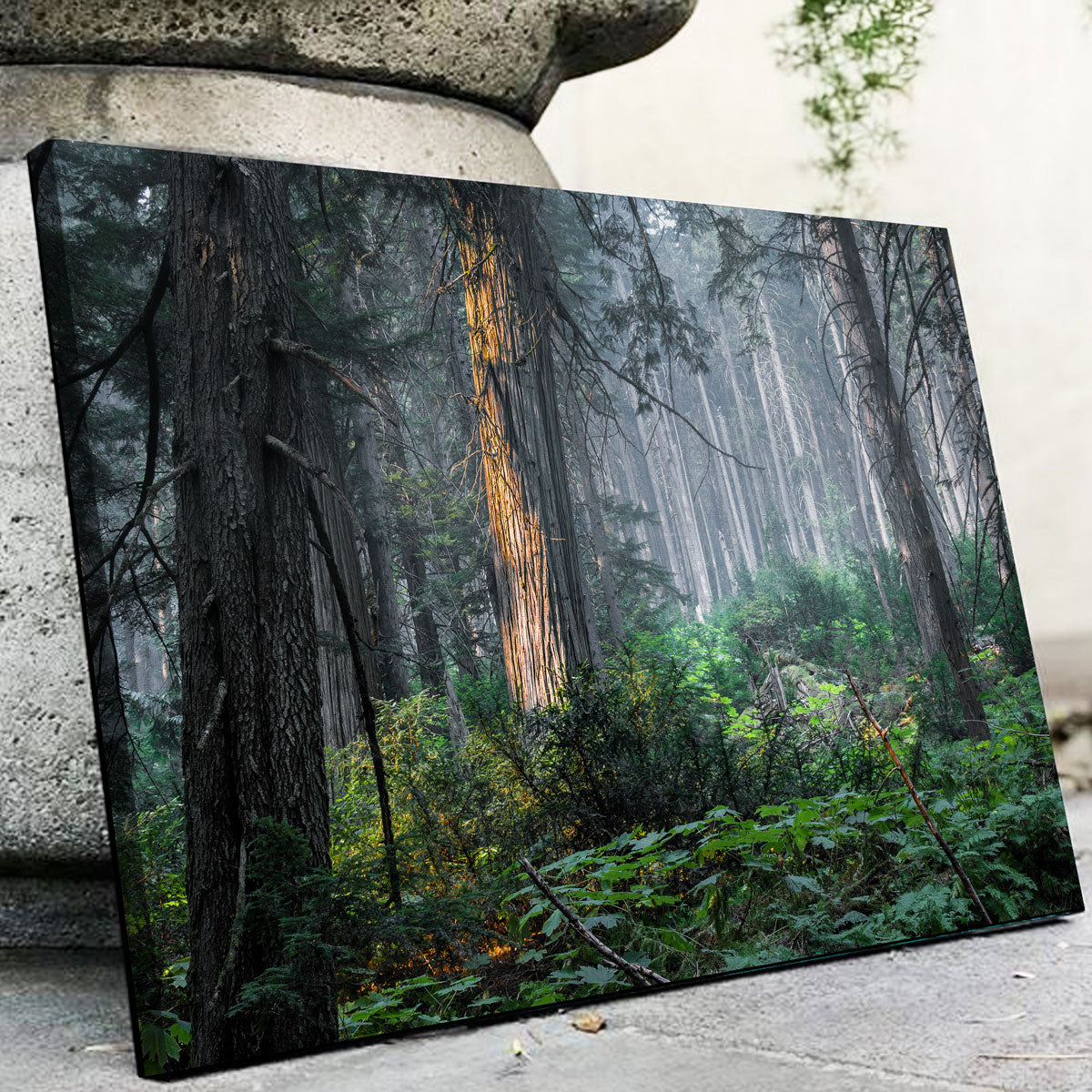 Exquisite Revelstoke Wall Art by Mike Cotton
